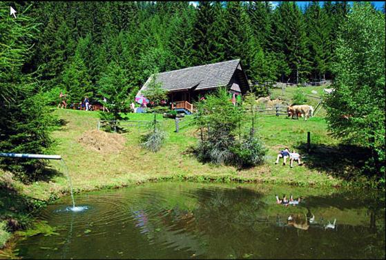 Hotel Panoramadorf Saualpe à Eberstein Extérieur photo